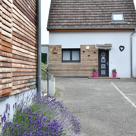4 - Maison La Vigneronne Holiday home Mittelwihr